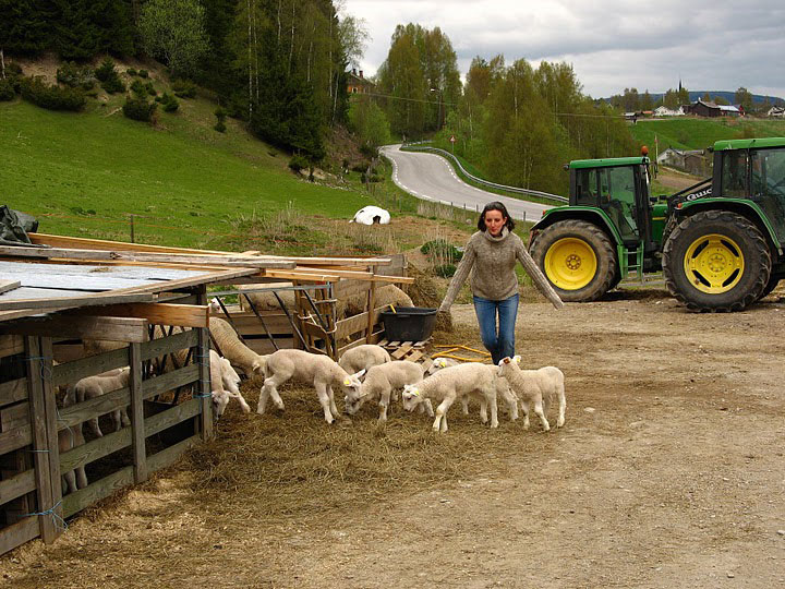Mange kommer for å arbeide i jordbruket. En av dem er polske Basia Zieba. (Foto Privat/arkiv).